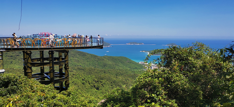 نحن في الجنة الاستوائية غابة حديقة الزجاج ممر نحن في الجنة الاستوائية غابة حديقة الزجاج ممر