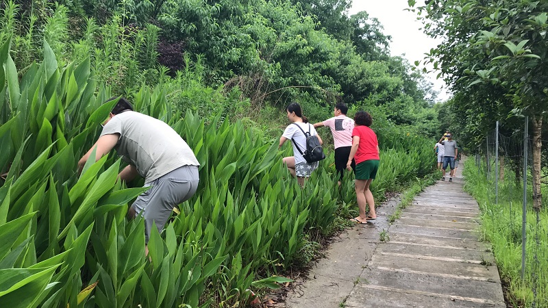 أول نشاط لموظفي المجموعة