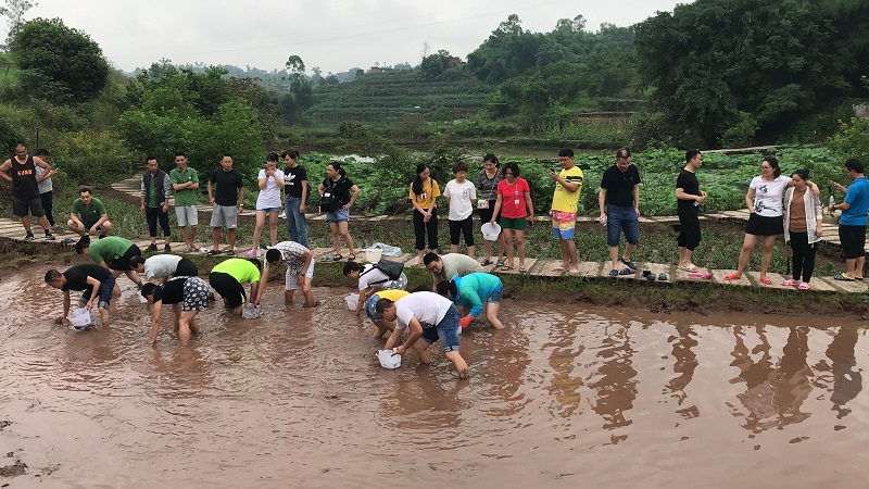 أول نشاط لموظفي المجموعة