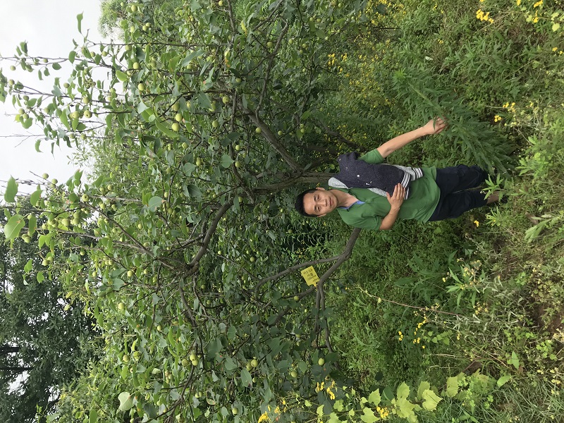 أول نشاط لموظفي المجموعة