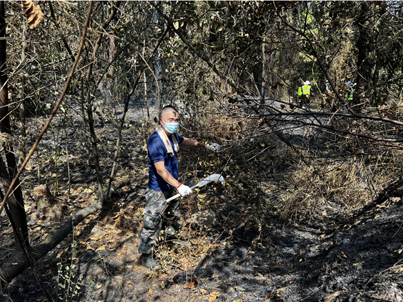النار على الجبال، والنار على الجبال، والنار على الجبال، والنار على الجبال.
