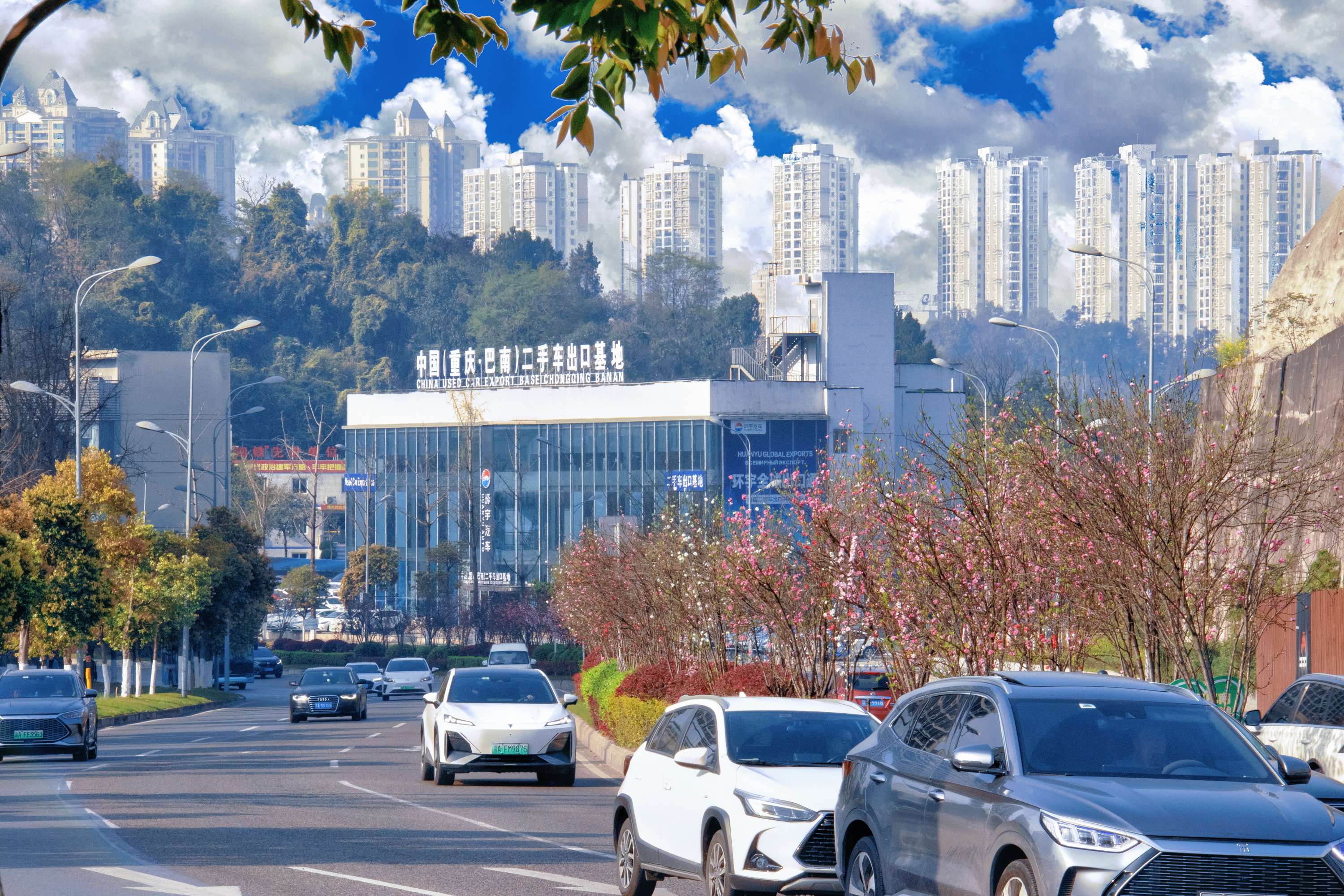 نحو المواجهة المفتوحة| تقرير الحكومة يحدد التوجيه ، تم تمكين قاعدة تصدير السيارات المستعملة في تشونغتشين بانان من التركيز