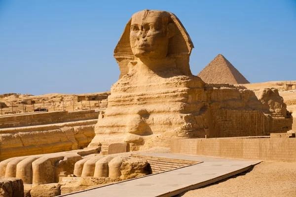 دليل قطري لتصدير السيارات المستعملة 2024 - مصر