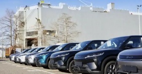 العلامة التجارية الصينية تغطي سوق السيارات الكهربائية الخالصة في الأرجنتين
